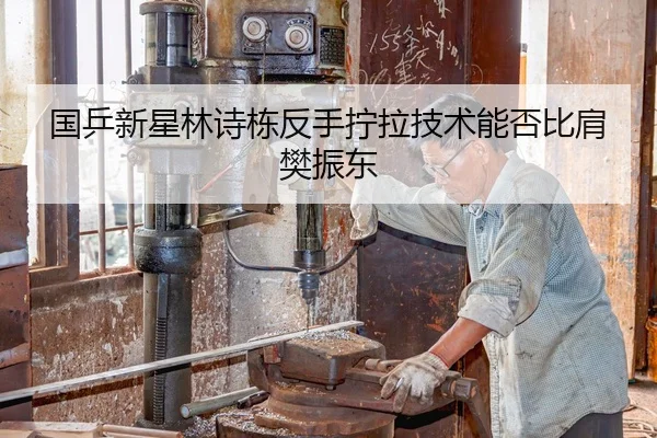 国乒新星林诗栋反手拧拉技术能否比肩樊振东